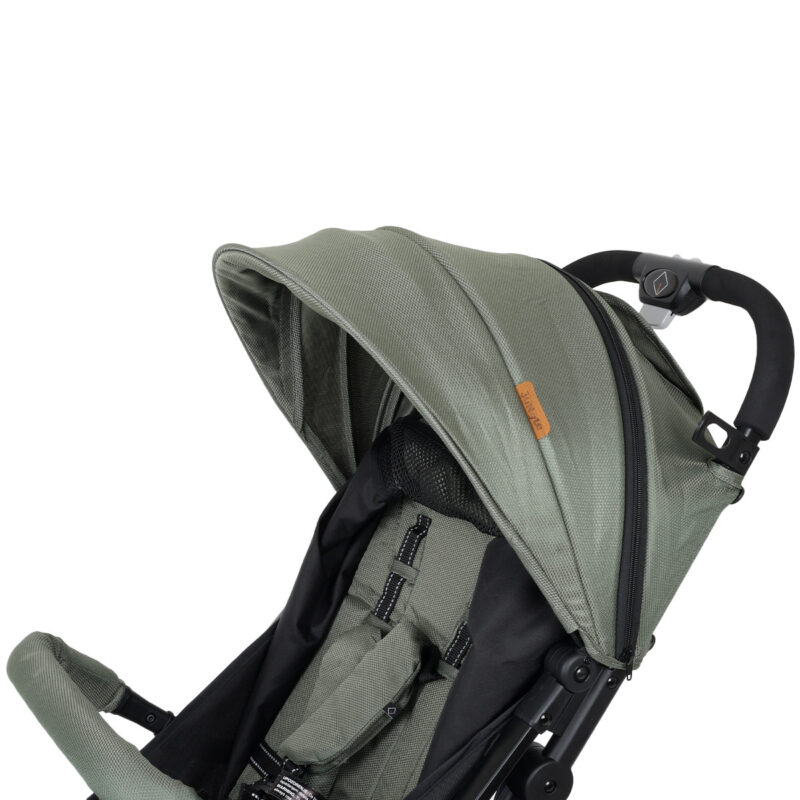 Jungle kolica QUAD, 0M+ - 19601 - Slika 11