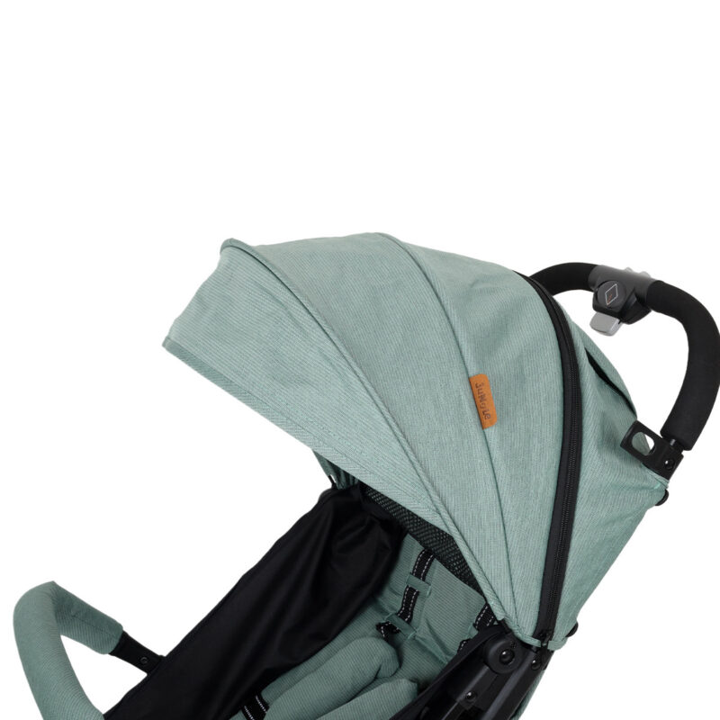 Jungle kolica QUAD, 0M+ - mint, 19603 - Slika 12