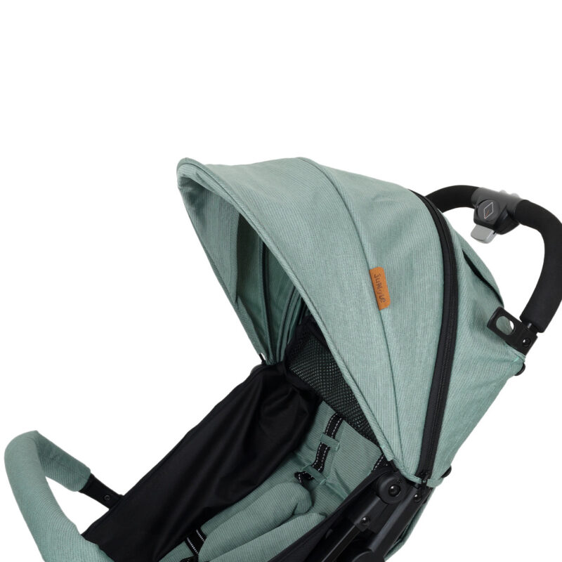 Jungle kolica QUAD, 0M+ - mint, 19603 - Slika 13