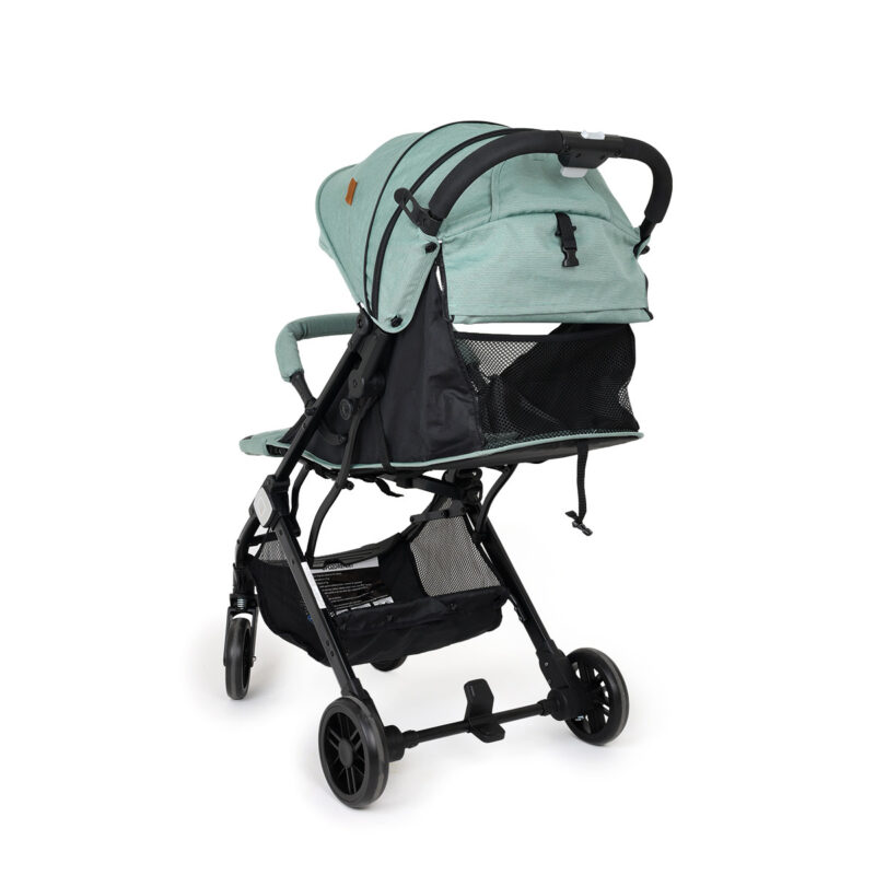Jungle kolica QUAD, 0M+ - mint, 19603 - Slika 9