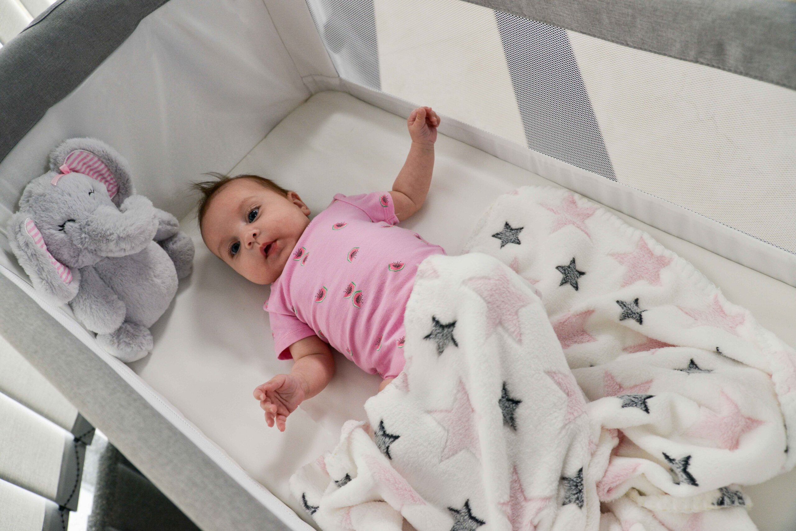 Cangaroo igračka i dekica 21165 - Slika 5